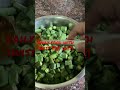 achari bhindi daily food with twist india viral trending @hello its sushma