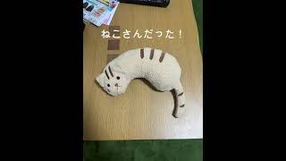 【優男】見守りカメラ見てみたら#犬 #猫 #Shorts