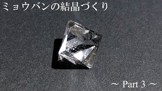 ミョウバンの結晶づくり part3 (寝かせ式蒸発法) | How to grow alum crystals part3 (laying and evaporation method)