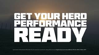 MULTIMIN® Performance Ready