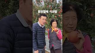 2025년 1월 8일 흑운모농법 3년차 사과착색을 흑운모로만 완성~신청은 010 2711 2724