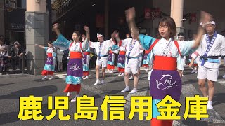 おはら祭 ２019 鹿児島信用金庫　踊り連　　総踊り　日本の祭り　Festival in Japan　今日の鹿児島　縄文人