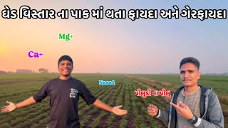 || ઘેડ વિસ્તાર ના પાક માં થતા ફાયદા અને ગેરફાયદા || પીલુડી ના પીલું ||#ghed #village #vlog