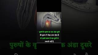 (22) Interesting facts in hindi #facts #shorts #ad