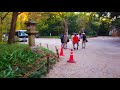 【4k 散歩】京都 下鴨神社・糺の森　森林浴散歩