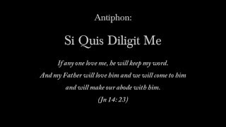 Si Quis Diligit Me, Antiphon