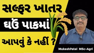 ઘઉં પાકમાં સલ્ફર ખાતર અપાય કે નહીં ? #gujaratimahitiofficial