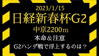 2023 日経新春杯G2　軸ウマサガシ