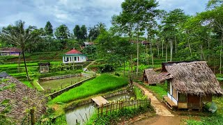 MASYA ALLAH!! Suasana Di Kampung Yang Indah, Nenek Tangguh Luar Biasa Berjuang Hidup Dalam Sederhana