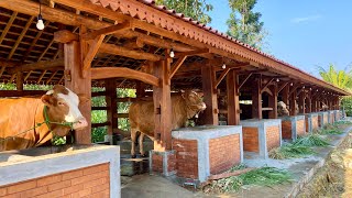 ISTANA BREEDING SAWUNG SETO GUNUNGKIDUL