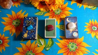 💖😱MENTALIZE ALGUÉM QUE VOCÊ AMA E RECEBA ANÁLISE COMPLETA! #tarot #amor #viral