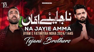 Noha Bibi Fatima Zahra 2023/24 | Na Jayie Amma | Tejani Brothers | Ayam e Fatimiyah Noha 2024 | 1445