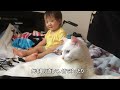 2016年6月早朝　猫ちゃんとヒメちゃんはお友達64