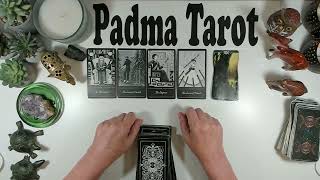 GEMINI ♊️YES,YOU'RE GONNA BE FINE!JUNE 16TH-22ND CAREER & FINANCES 💰Weekly Tarot Reading 💫🔮