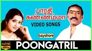 Poongatril Video Song | Bharathi Kannamma | Cheran | R. Parthiepan | Meena