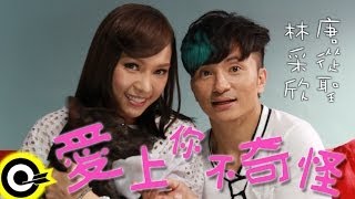 唐從聖 Action Tang\u0026林采欣 Lin Bae【愛上你不奇怪】Official Music Video HD