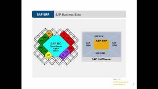 Video 3: Introduction to the SAP