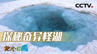 湖底吸力极大、湖面浮力惊人 怪异的湖中湖究竟隐藏着怎样的地理奥秘？20231209 神奇的柴达木5·戈壁奇湖（下）|《地理·中国》CCTV科教