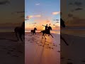 Running wild and free at Morocco beach