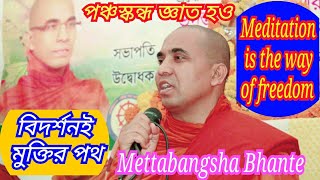 বিদর্শনই মুক্তির পথ | Meditation is the freedom | Buddha's Teachings | ভদন্ত মেত্তাবংশ ভান্তের দেশনা