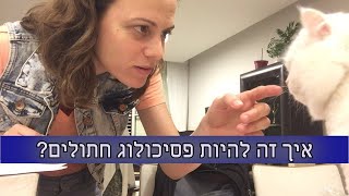 למה מטפלים התנהגותים לחתולים מרוויחים יותר מפסיכולוגים? כי אנחנו נחוצים יותר ומוכשרים בטירוף:)