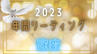 【蠍座さん】♏️2023年のサクッと年間リーディング🔭✨