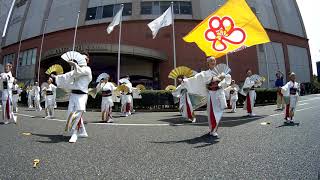 15 プラリズム〜梅舞〜 おどるんや～紀州よさこい祭り～2019 モンティグレ演舞場 wide