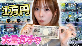 【大量】流行りのガチャガチャ1万円分開封してみた！！！💸