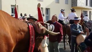 Salida Romería de San Antonio 2015. Cortegana