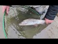 trotting in the depths of winter fishing the river ithon in freezing conditions for grayling