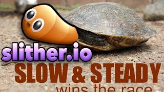 Let's Play Slither.io - SLOW AND STEADY (Slother.io Funny Gameplay Moments - Slither.io Gameplay)