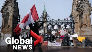 Trucker protests: Ottawa residents frustrated as some protesters refuse to leave
