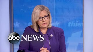 'This disaster did not have to happen': Cheney | ABC News