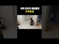 강아지 배변훈련 교육방법