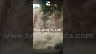 ವಾವ್ಹ್.. ಕೋಟೆಕಲ್ ಫಾಲ್ಸ್​ನ ಜಲವೈಭೋಗ ನೋಡಿ | Kotekal Falls is overflowing | #Tv9kannadashorts