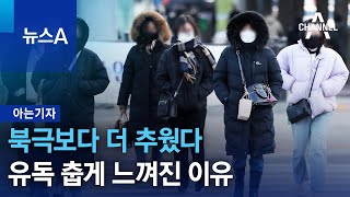 [아는기자]북극보다 더 추웠다…유독 춥게 느껴진 이유 | 뉴스A