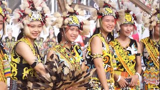 Festival Budaya Dayak Kenyah di Sungai Bawang , September 2023 ( Part 20 )