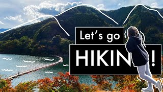 Hiking in Tokyo || Floating bridge in Okutama || Exploring Japan || DBAG