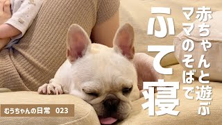 [ フレブルvlog ] ふて寝アピールでママの奪還を企むむうちゃん