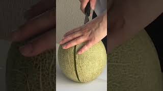 【知恵袋】メロンの美味しい切り方🍈 #shorts