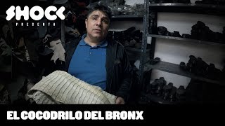 ¿Dónde terminó el cocodrilo del Bronx? - Historias Extraordinarias