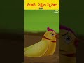 మూడు పక్షుల స్నేహం panchatantra shortsfeed shorts telugu ytshorts cartoonstories latestnews