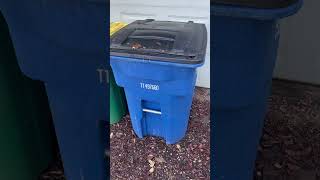 HOW TO KEEP FLIES OUT OF YOUR TRASH BIN (Spoiler: Toilet Cakes)