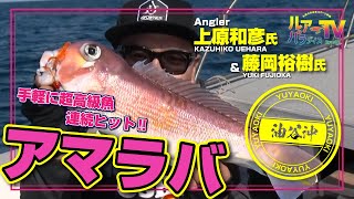 【ルアパラTV】油谷沖アマラバ[7月1日放送]