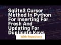 Sqlite3 cursor method in python for inserting for fresh and updating for duplicate keys