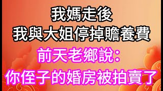 我媽走後，我與大姐停掉贍養費，前天老鄉說：你侄子的婚房被拍賣了#孝顺#儿女#讀書#養生#佛#房产#晚年哲理#中老年心語#淺談人生#民間故事#養老#真實故事#兒女的故事#小嫺說故事#遗产#赚钱