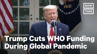 Trump Draws Criticism For Cutting Funds to WHO | NowThis