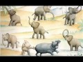 elephants child.flv