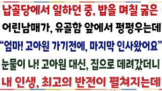 (반전신청사연)납골당에서 일하던중 어린 남매가 유골함 앞에서 펑펑 우는데 \