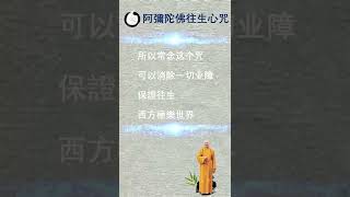 【阿彌陀佛往生心咒】海涛法师